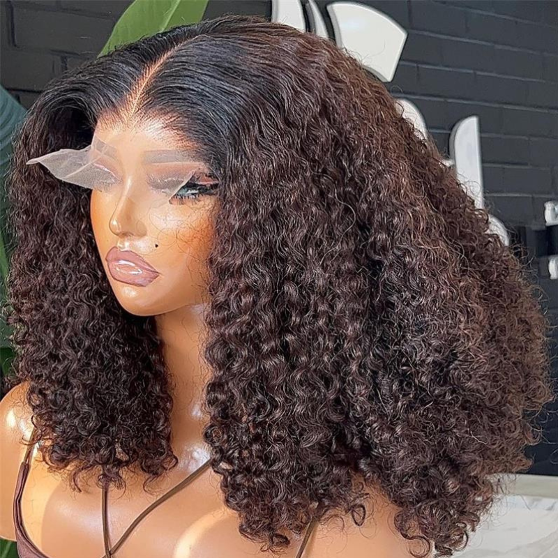 ALIGLOSSY 13x4 Kinky Curly Lace Front Wig Human Hair 16-24 Inches